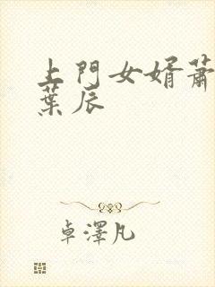 上门女婿萧初然叶辰