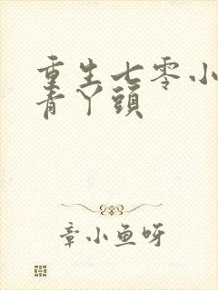重生七零小辣媳青丫头