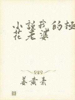 小说我的极品校花老婆封面
