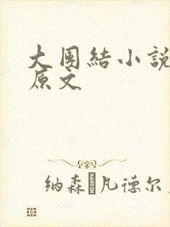 大团结小说阅读原文封面