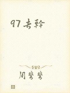 97去干封面
