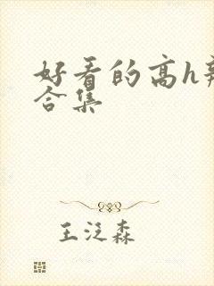 好看的高h辣文合集