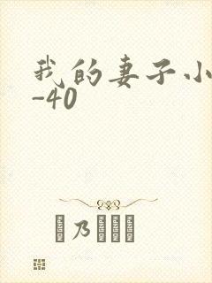 我的妻子小谨1-40