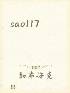 sao117封面