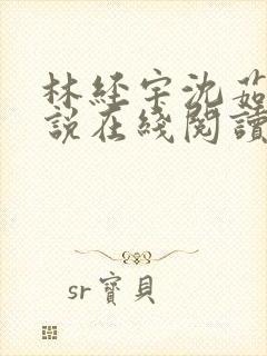 林经宇沈茹茹小说在线阅读