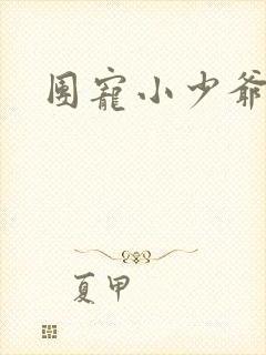 团宠小少爷