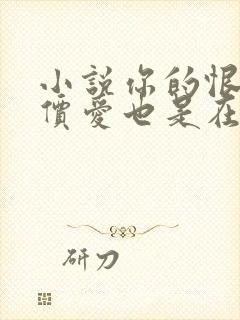 小说你的恨很廉价爱也是在线阅读