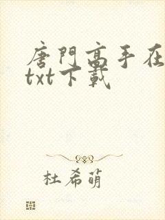 唐门高手在异世txt下载