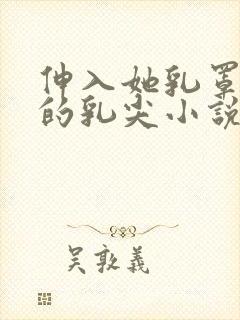 伸入她乳罩揉她的乳尖小说