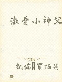 激爱小神父