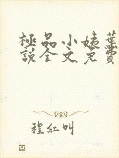 极品小姨叶凡小说全文免费阅读