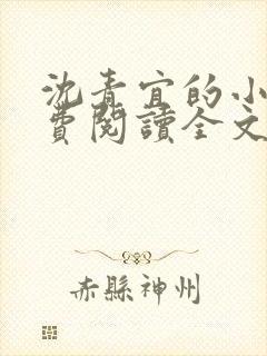 沈青宜的小说免费阅读全文