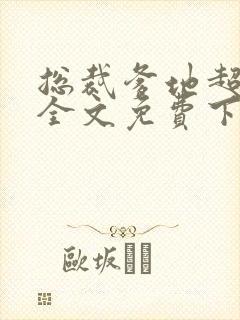 总裁爹地超给力全文免费下载封面