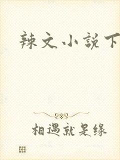 辣文小说下载