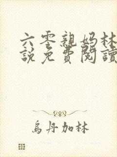 六零亲妈林昭小说免费阅读最新章节列表封面