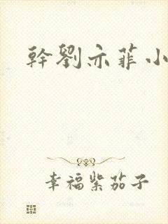 干刘亦菲小说