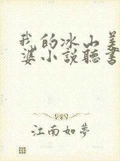 我的冰山美女老婆小说听书