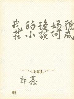 我的后妈貌美如花小说何成在线阅读