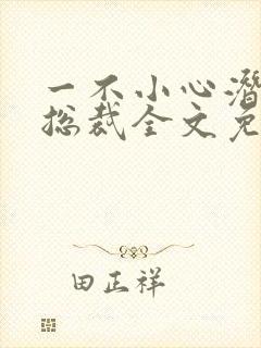 一不小心潜了个总裁全文免费阅读