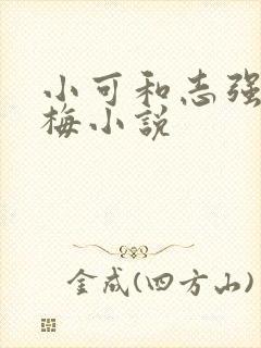 小可和志强,阿梅小说