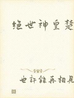 绝世神皇楚风