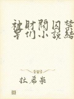 被财阀囚禁的明星们小说结局封面