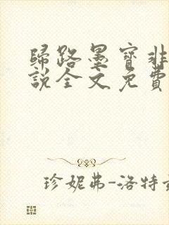 归路墨宝非宝小说全文免费阅读