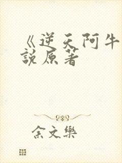 《逆天阿牛》小说原著