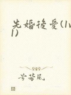 先婚后爱(1v1)