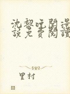 沈黎晚闻璟川小说免费阅读最新章节封面