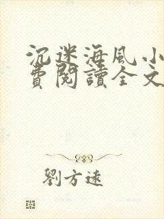 沉迷海风小说免费阅读全文无弹窗