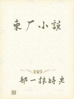 东厂小说