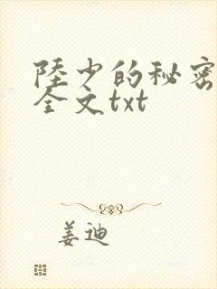 陆少的秘密恋人全文txt