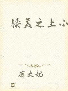 膝盖之上小说