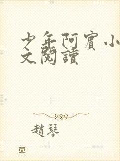 少年阿宾小说全文阅读封面