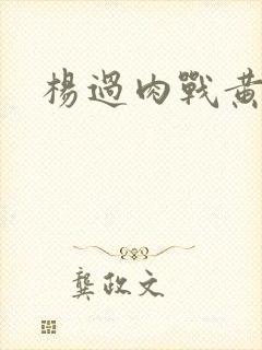 杨过肉战黄蓉