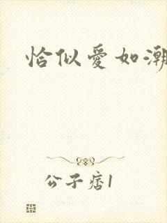 恰似爱如潮