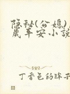 隐秘(公媳)岁岁平安小说
