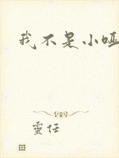 我不是小哑巴封面