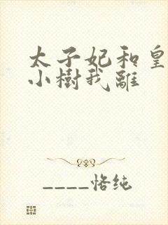 太子妃和皇上在小树我离封面