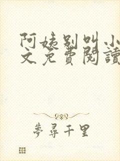 阿姨别叫小说全文免费阅读