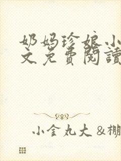 奶妈珍娘小说全文免费阅读封面
