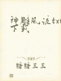 神雕风流txt下载封面