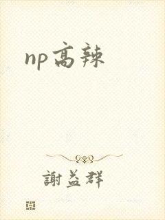 np高辣