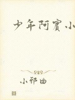 少年阿宾小说
