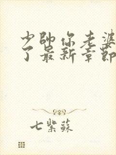 少帅你老婆又跑了最新章节列表