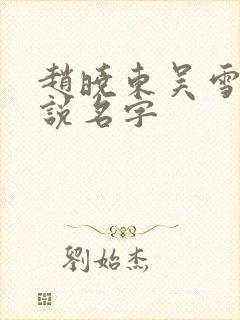 赵晓东吴雪晴小说名字