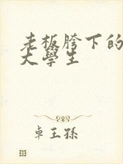 老板胯下的秘书大学生