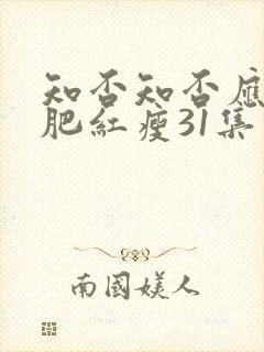 知否知否应是绿肥红瘦31集