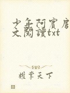 少年阿宾房东全文阅读txt